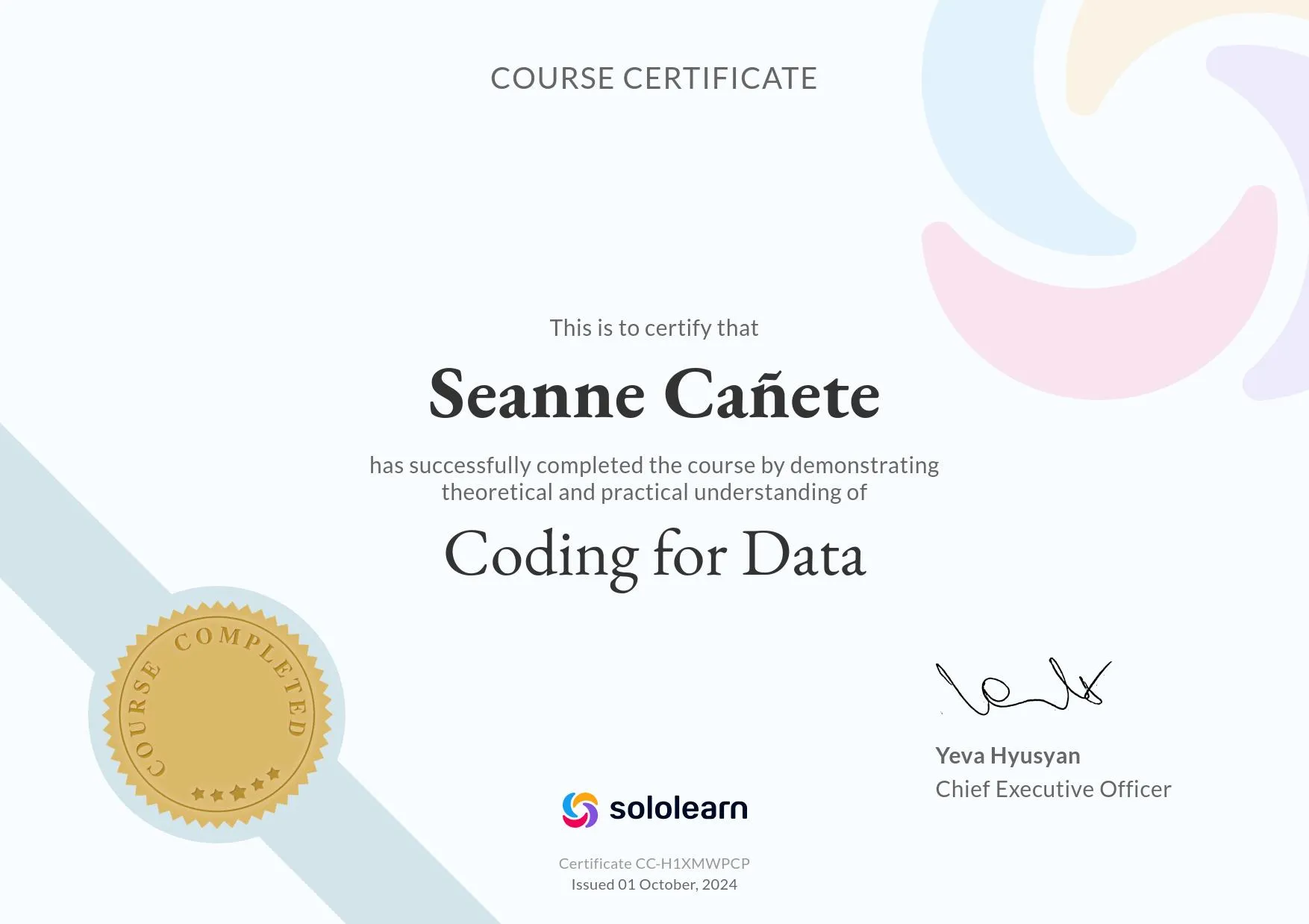Coding for Data preview
