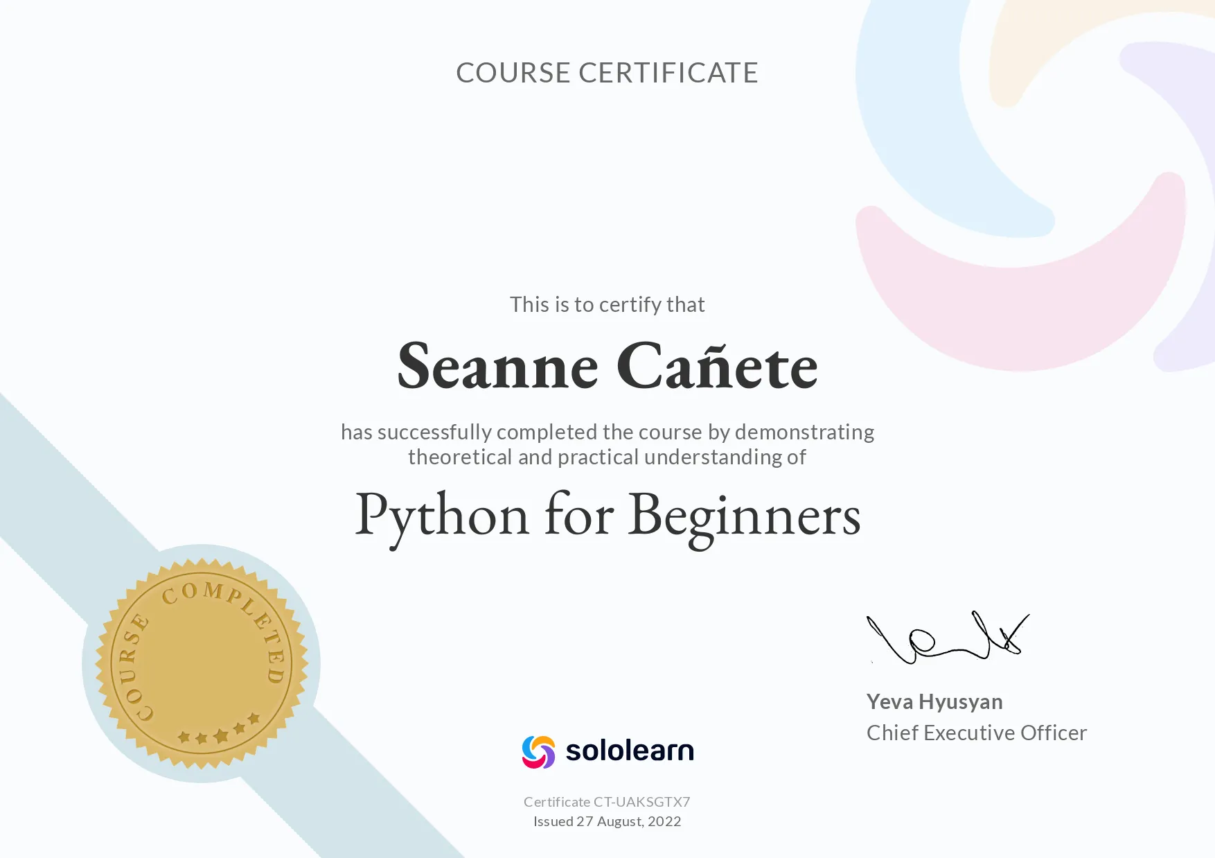 Python for Beginners- Solo Learn preview